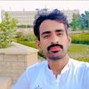 saeedalisolangii