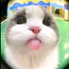 anosuntukanba