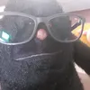 nomeconocenaca