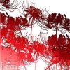 wwx10_