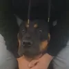 sqbli