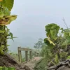 boulangebora