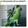 ftitz