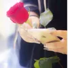 k__k44