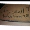 user8448463885175