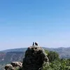 wasfiyahikhtiyar