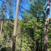 tuolumnedude