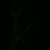 jnx__9