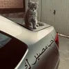 the_enbs0