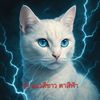 kritchai_thailand