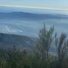 shahrazade19