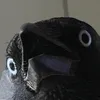 sp00ktic