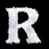 roan3172