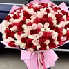 amira.miraben