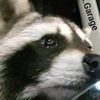 trashpanda_65
