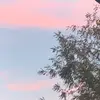 fatpigsforever