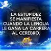 cmdte49853