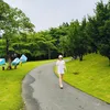 thaolunn86