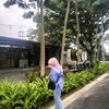 zlfashr