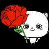 mazato.ssx