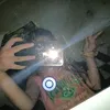 chip_anny