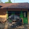 wongbakoh_05
