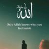 habba498