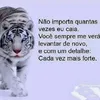 irideeu