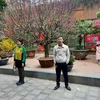 vanlinh1212
