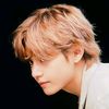 tatamic_94
