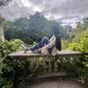 tk_2020x