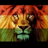 mohamad_ali____