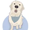 Elton The Golden Retriever
