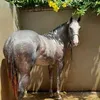 laireduardoeduard