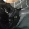 thisoneuser1