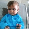 shahidiqbal86786