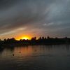 alidim01
