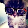 meowgotme