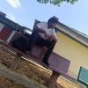 rahoul_2_unwanted