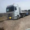 hasaniroyal3