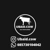 ubaid.cow