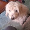 sandram.cm