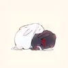 hua_li5