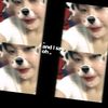 imbunny_15