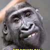 oziladitya6