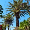 visitbahirdar1