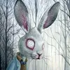 _the._.rabbit