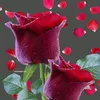 user6121083066273