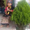 mayakhamcha0