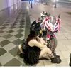 trasuakhongvi